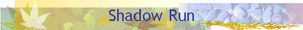 Shadow Run